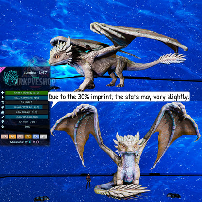 Umbra / Lumina / Dragontopia Dragon