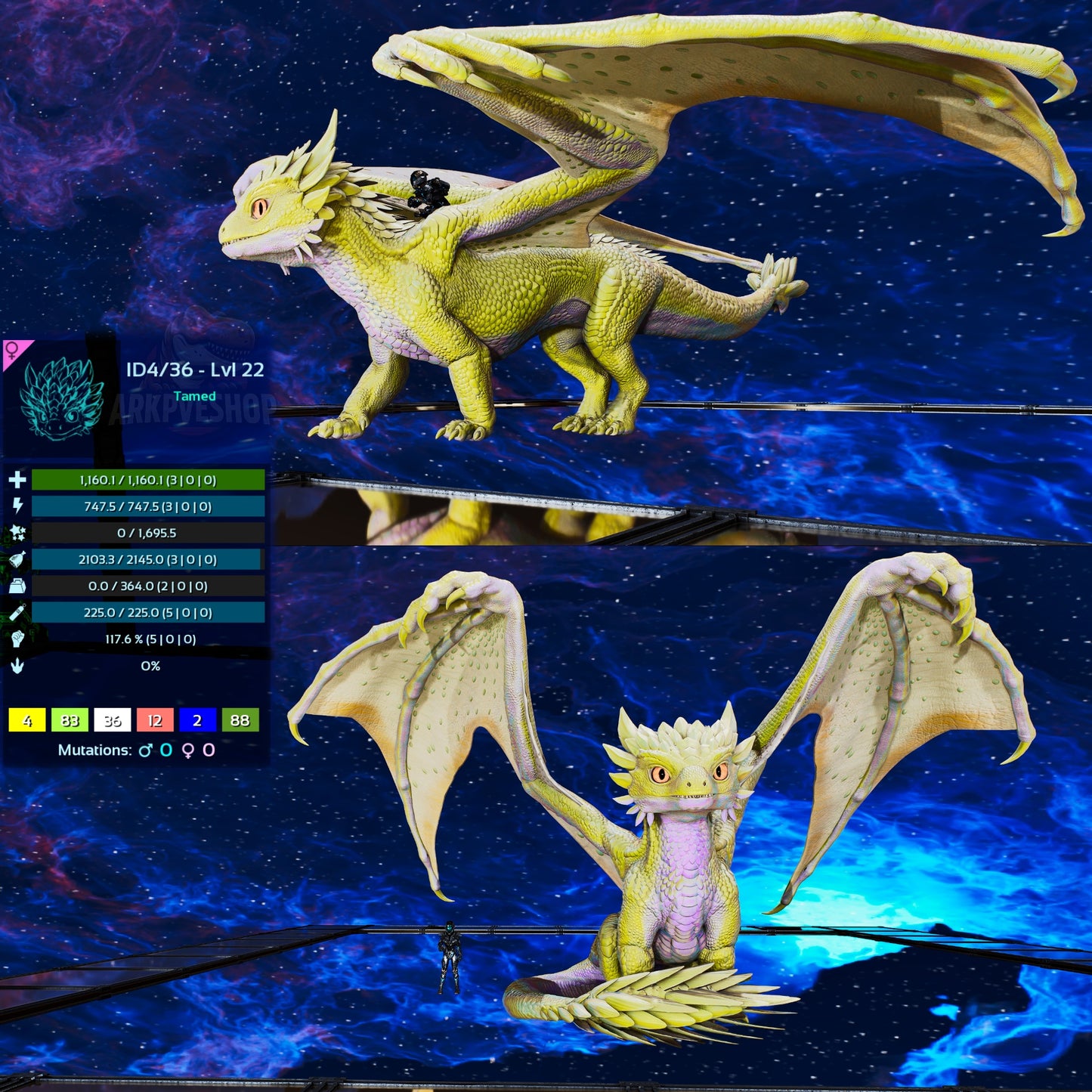 Umbra / Lumina / Dragontopia Dragon