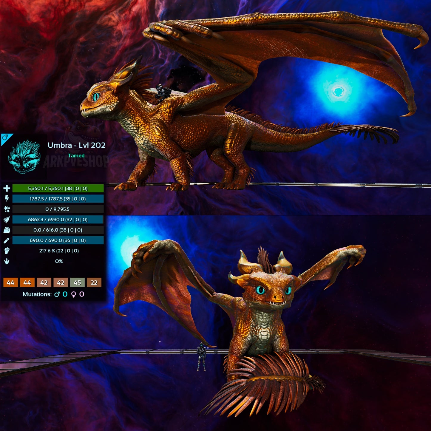 Umbra / Lumina / Dragontopia Dragon