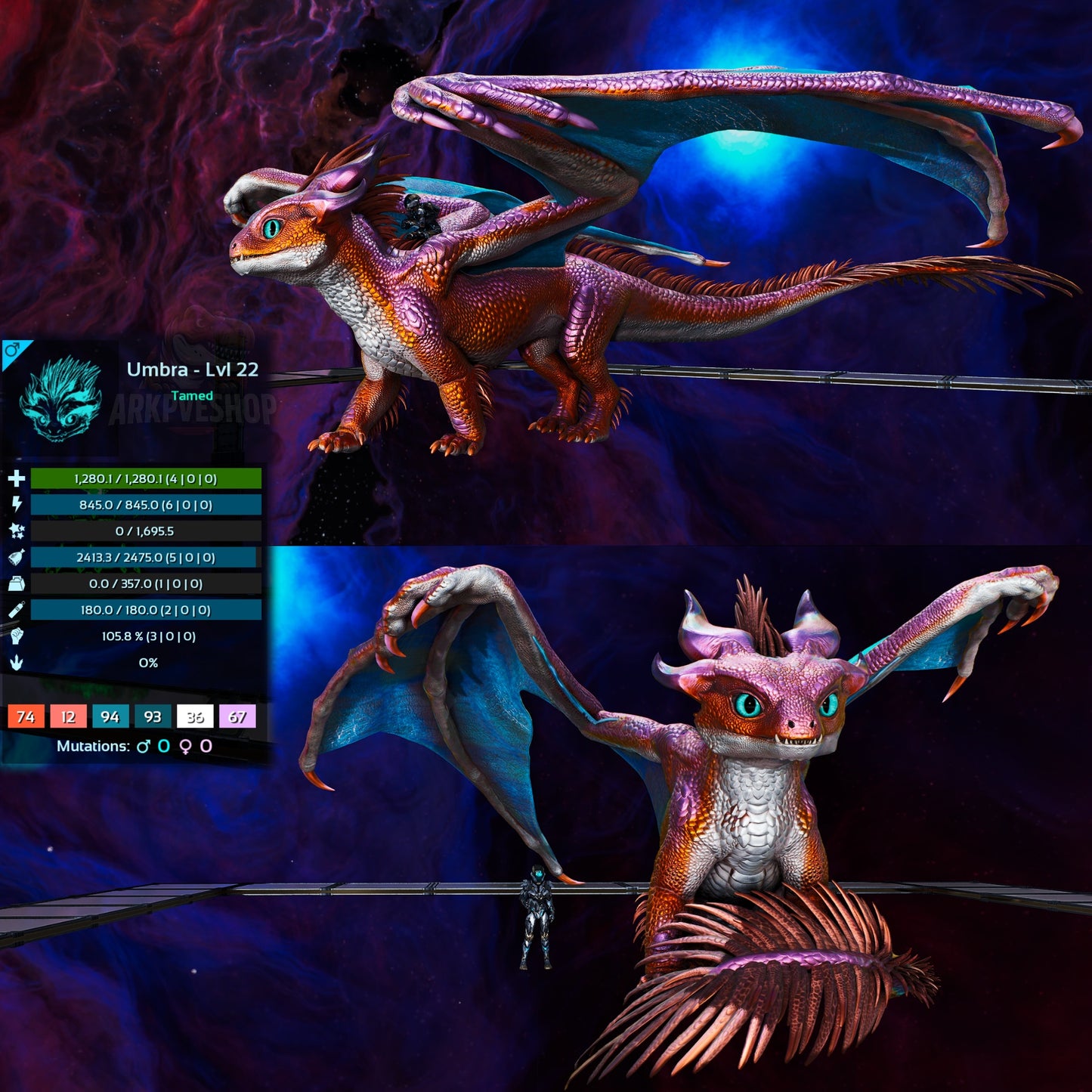 Umbra / Lumina / Dragontopia Dragon