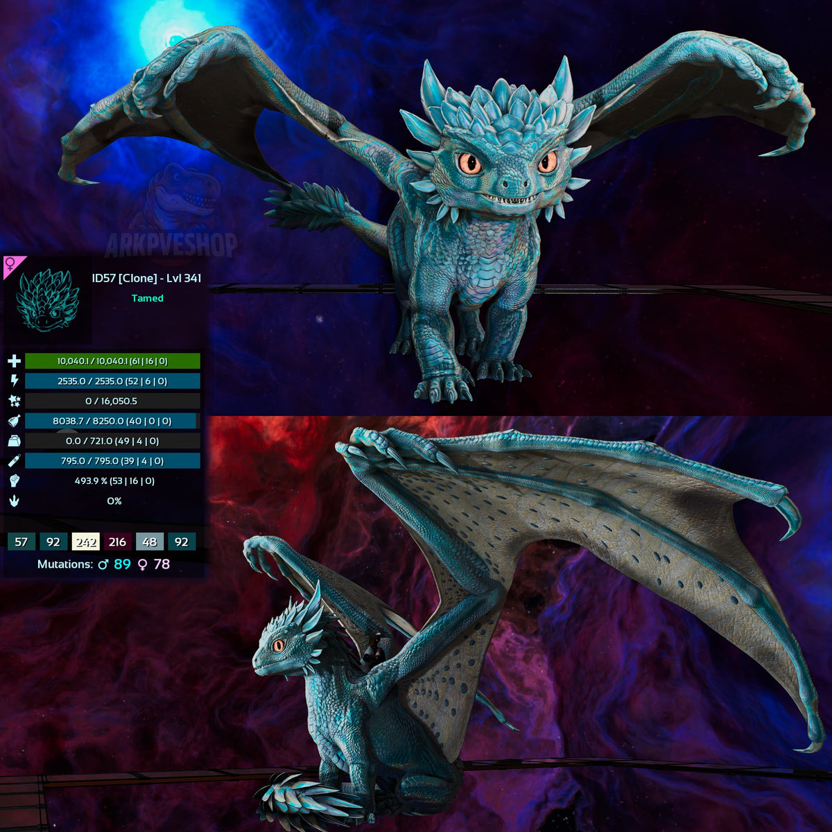 Umbra / Lumina / Dragontopia Dragon