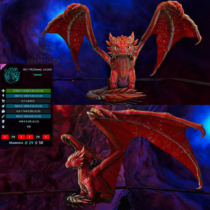Umbra / Lumina / Dragontopia Dragon