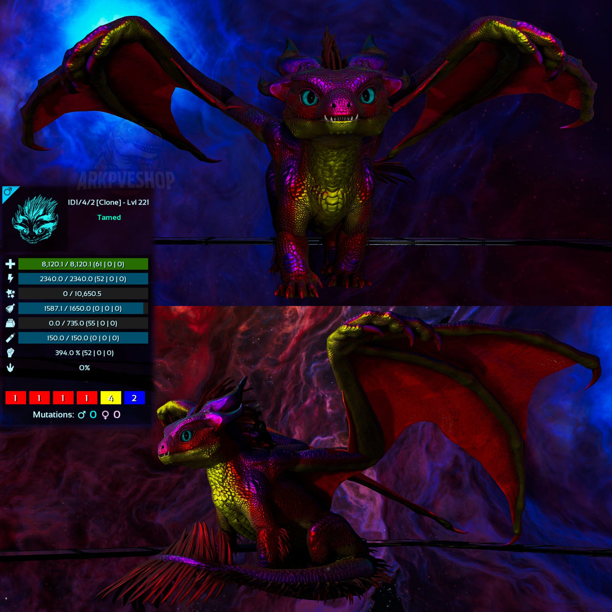 Umbra / Lumina / Dragontopia Dragon