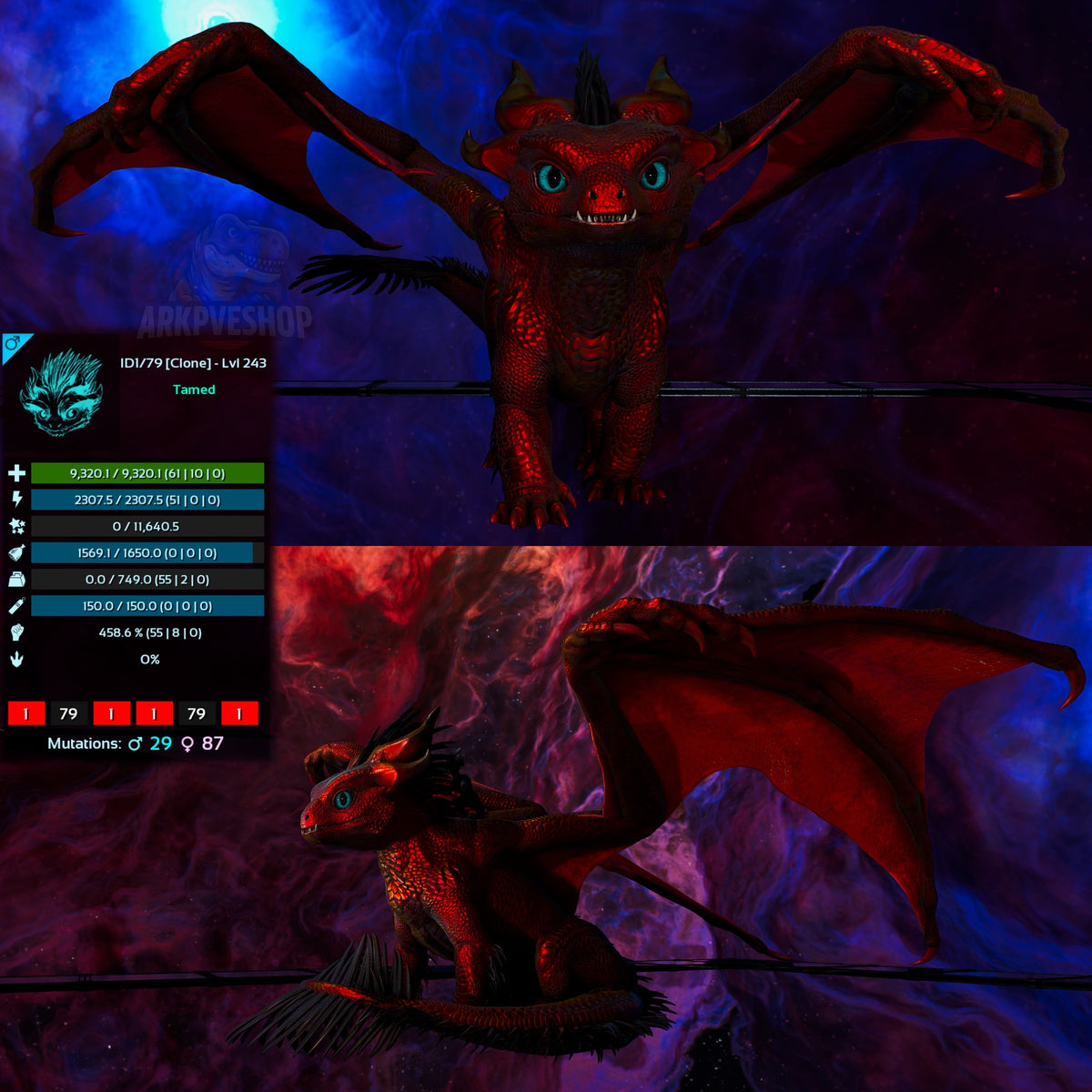 Umbra / Lumina / Dragontopia Dragon
