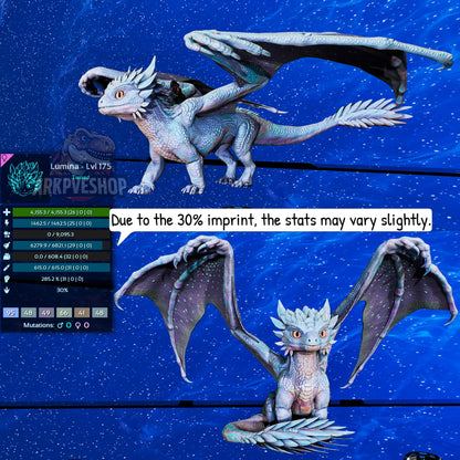 Umbra / Lumina / Dragontopia Dragon