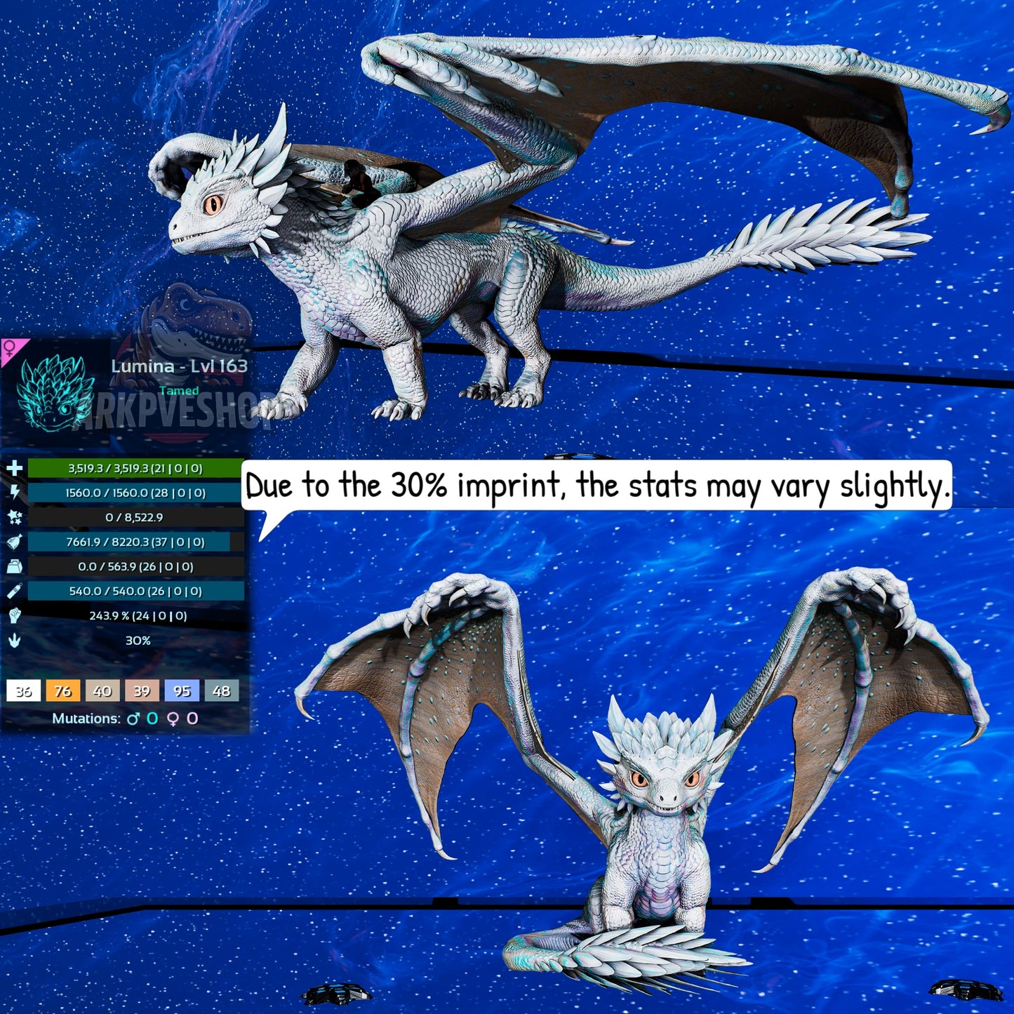Umbra / Lumina / Dragontopia Dragon