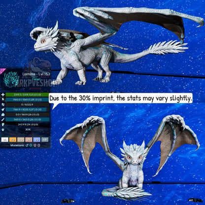 Umbra / Lumina / Dragontopia Dragon