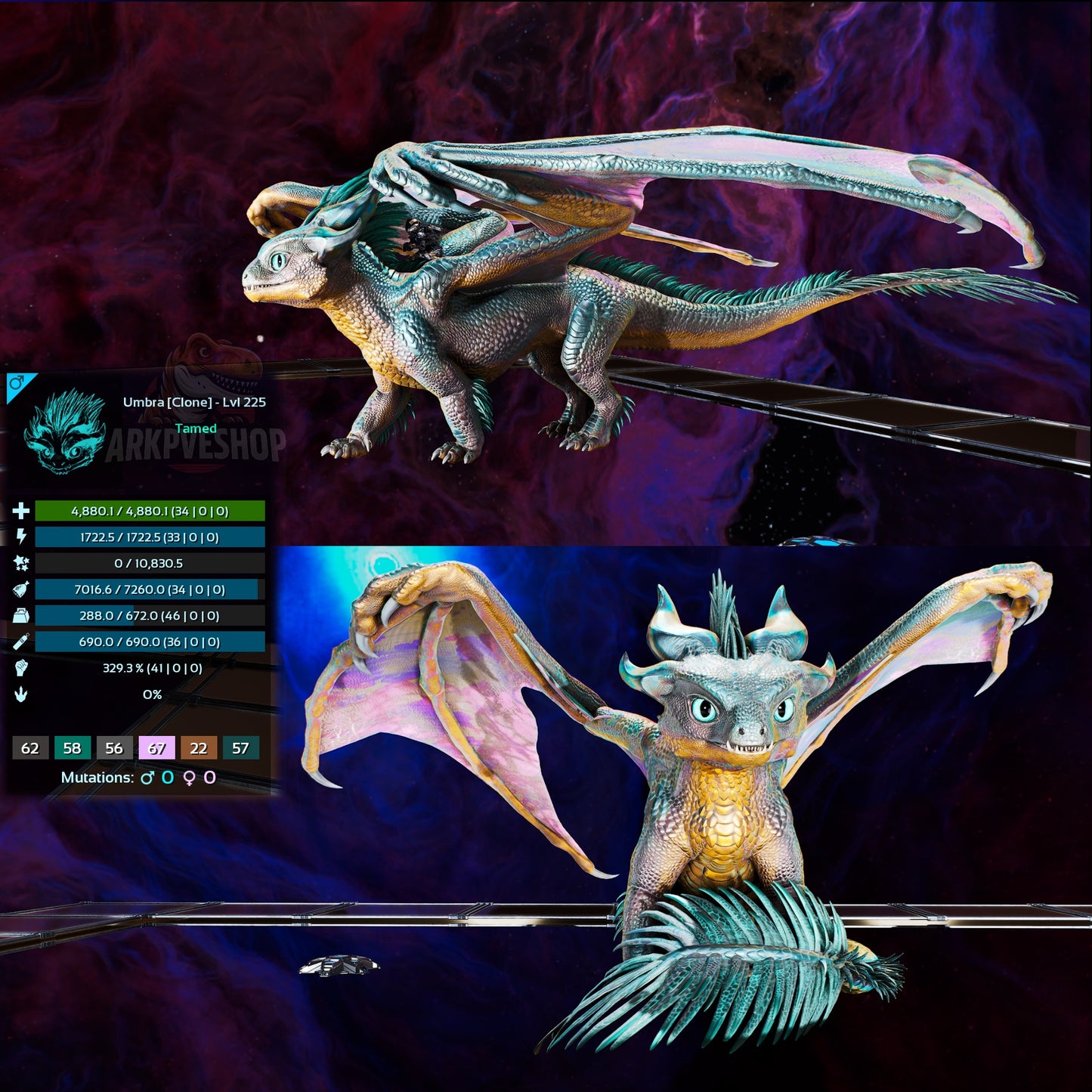 Umbra / Lumina / Dragontopia Dragon