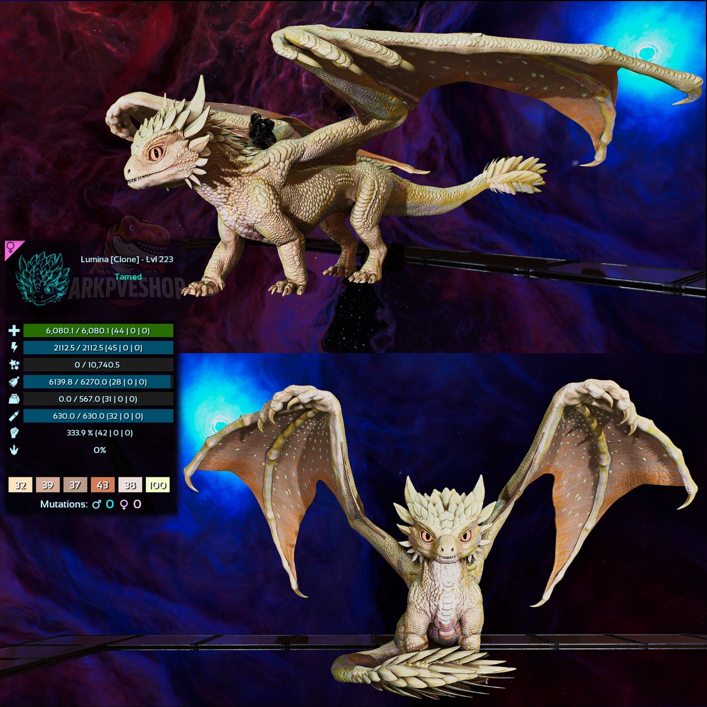 Umbra / Lumina / Dragontopia Dragon
