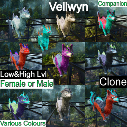 🏷️ Veilwyn Low&High Lvls Clone 🏷️