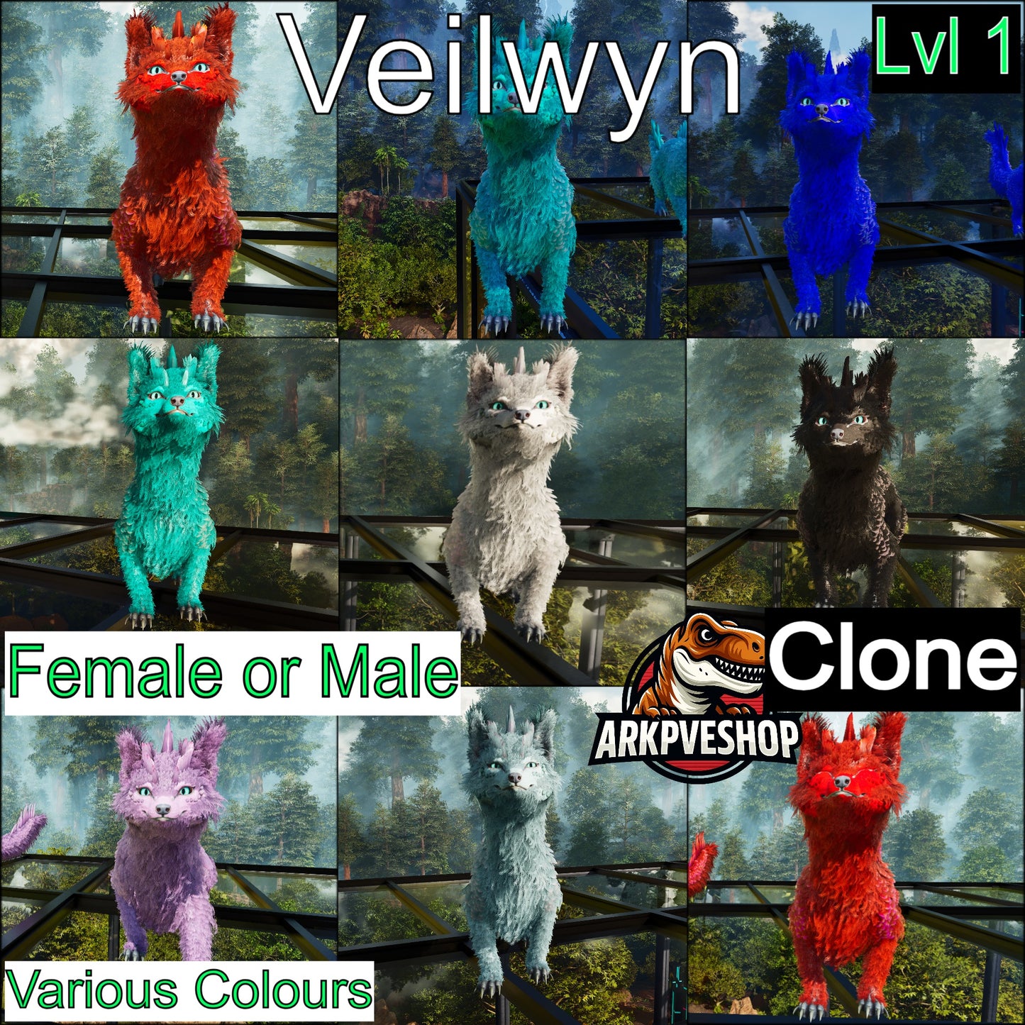 Veilwyn Lvl 1 Clone Ark Asceneded