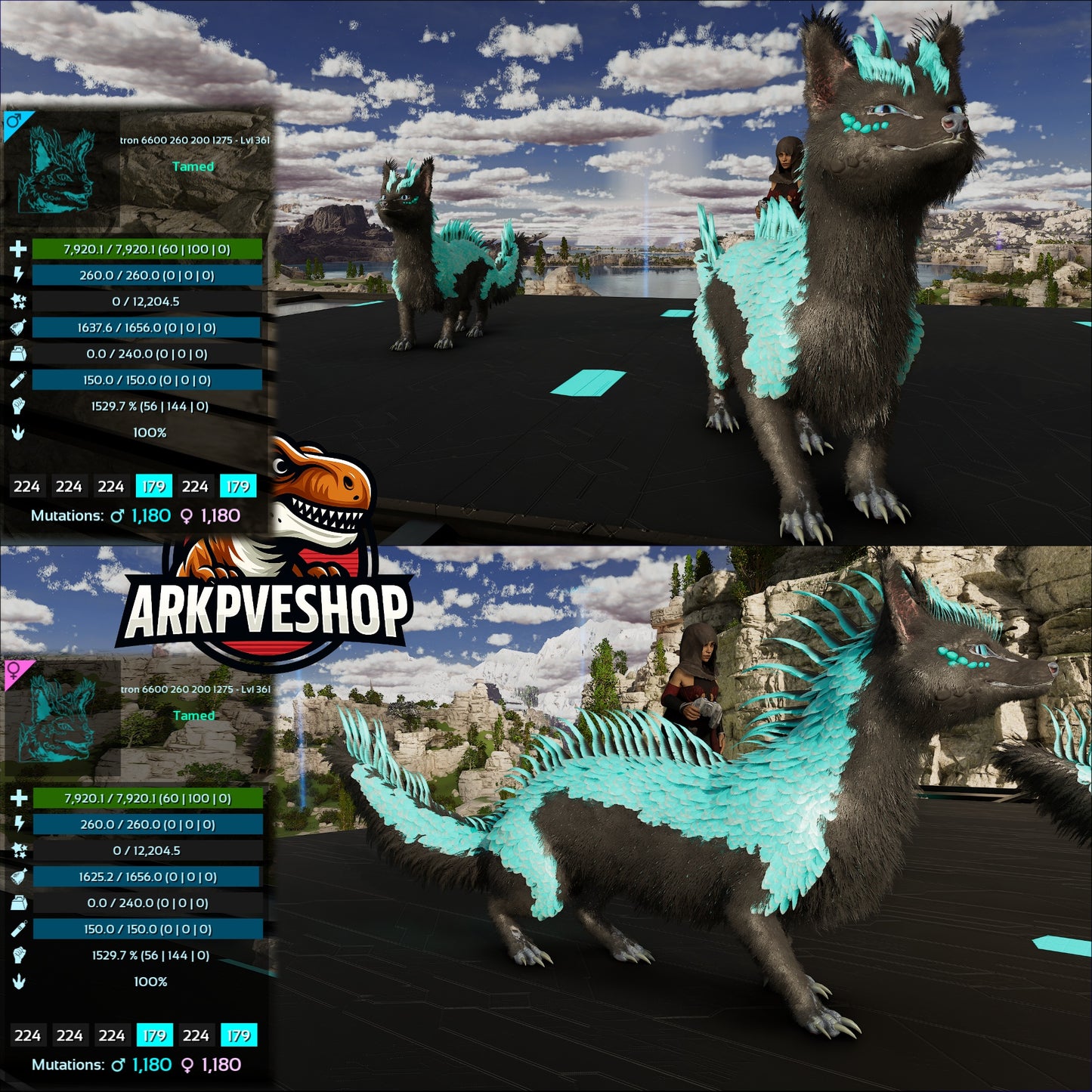 Veilwyn 7920Hp 1529.7Melee 100%Imprint