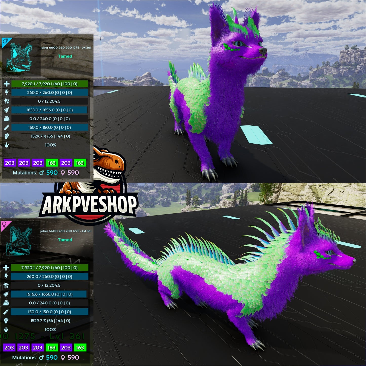 Veilwyn 7920Hp 1529.7Melee 100%Imprint