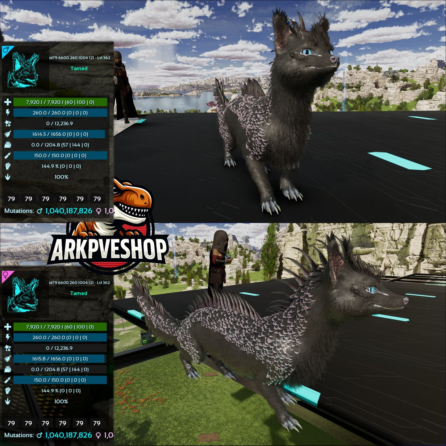 Veilwyn 7920Hp 1529.7Melee 100%Imprint