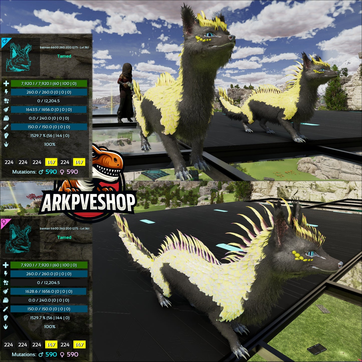 Veilwyn 7920Hp 1529.7Melee 100%Imprint