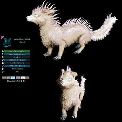 Veilwyn Low&High Lvls Clone