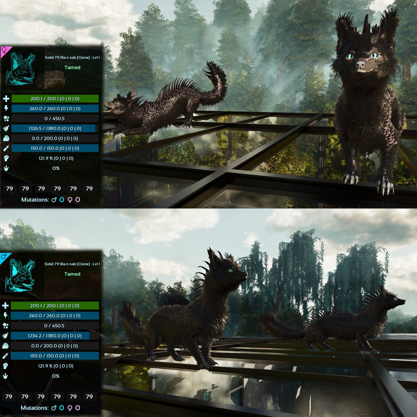 Veilwyn Lvl 1 Clone Ark Asceneded