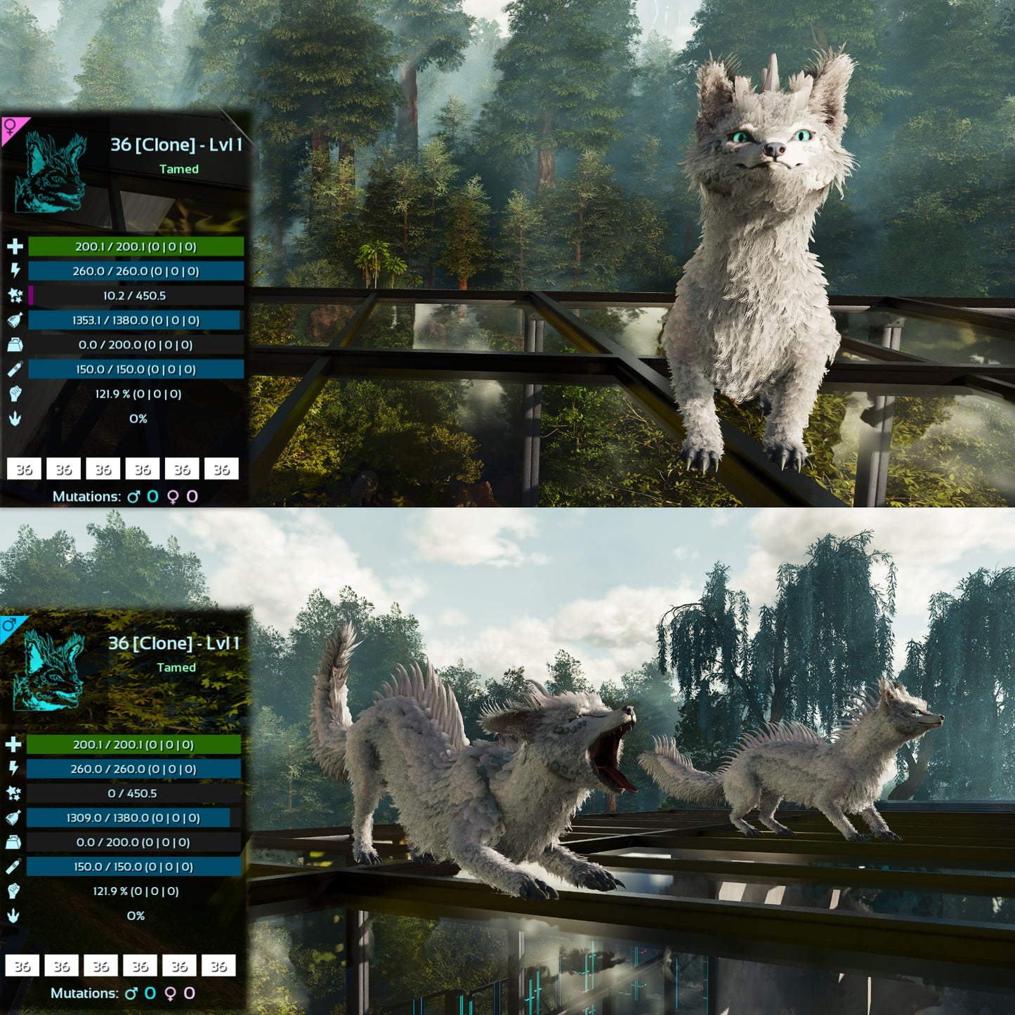 Veilwyn Lvl 1 Clone Ark Asceneded