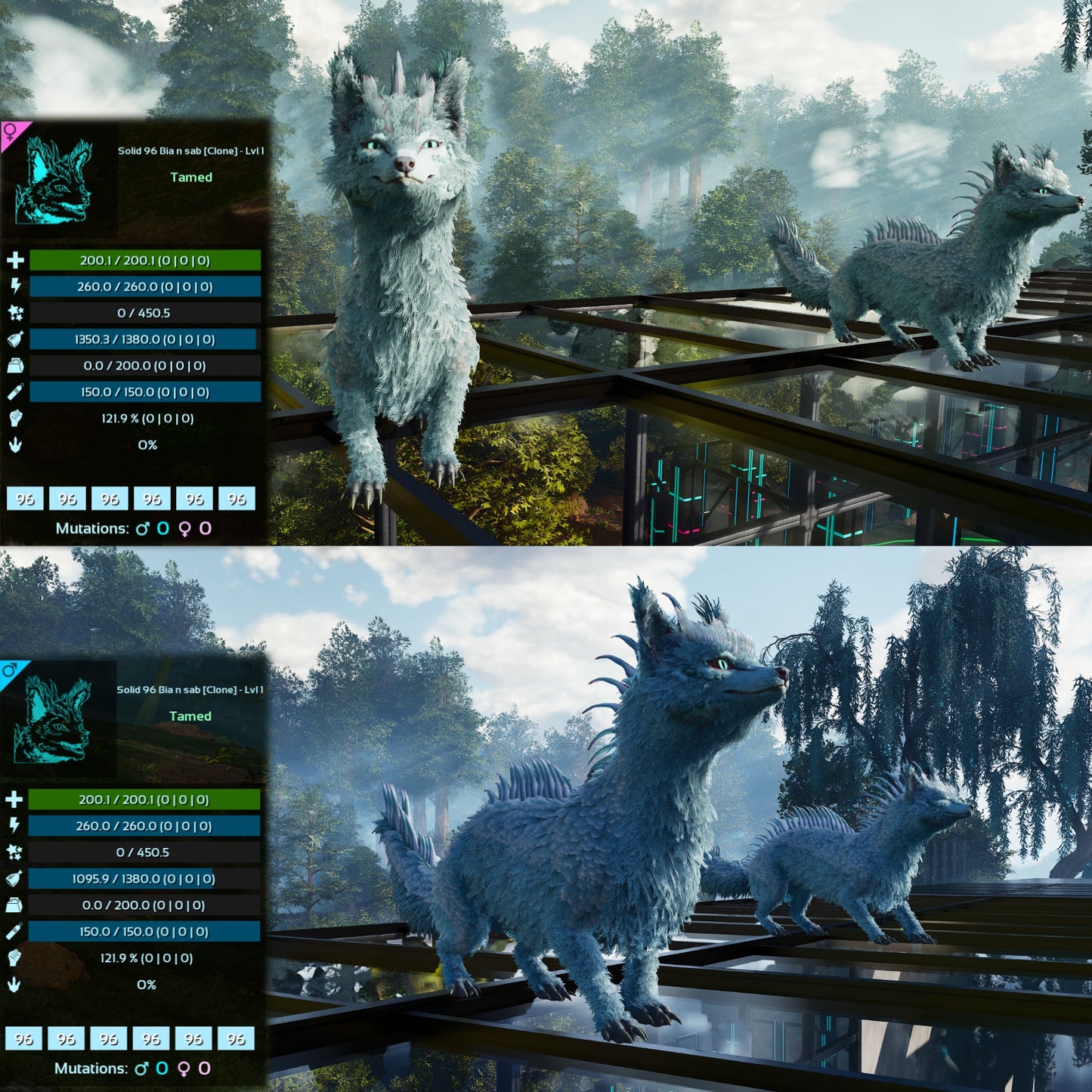 Veilwyn Lvl 1 Clone Ark Asceneded