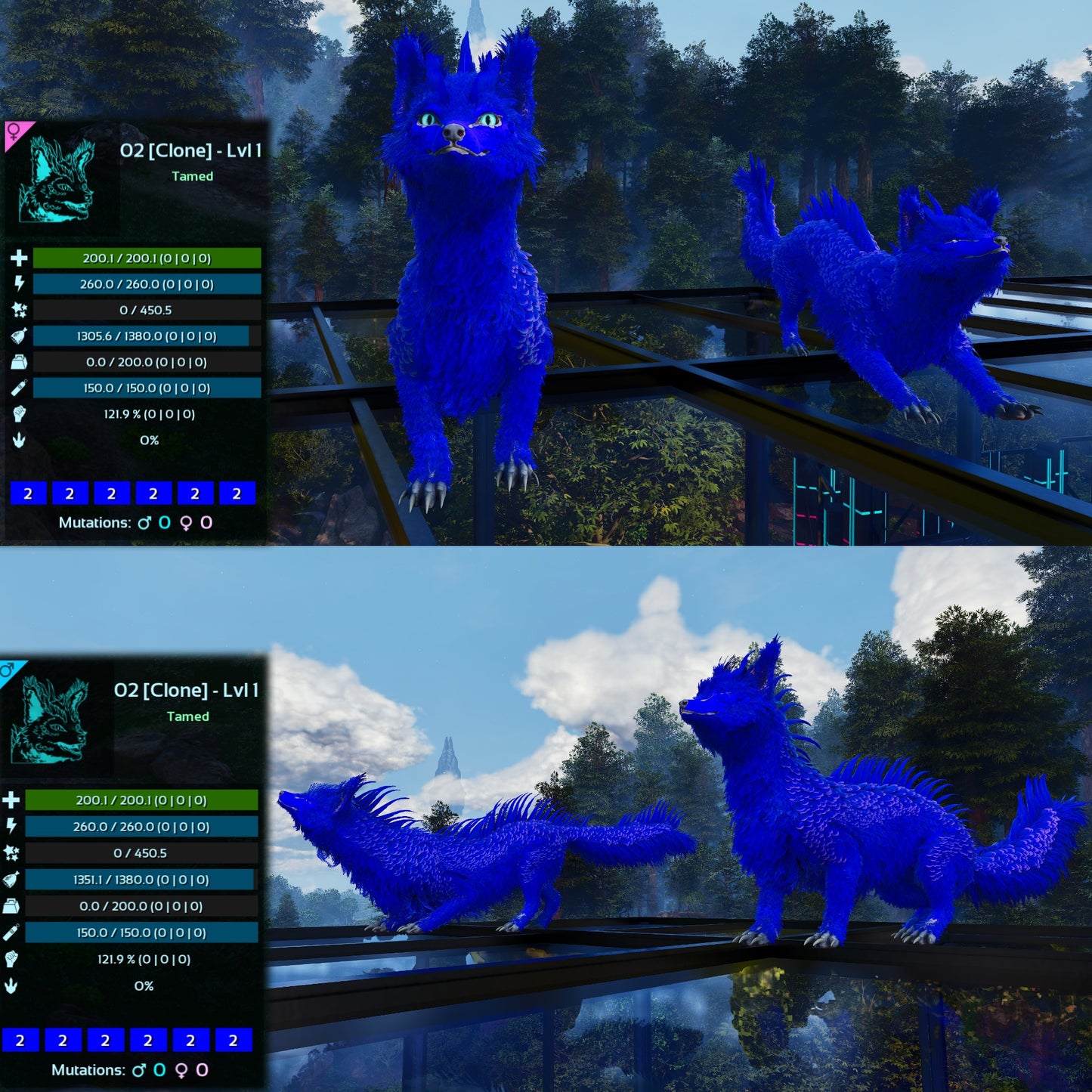 Veilwyn Lvl 1 Clone Ark Asceneded