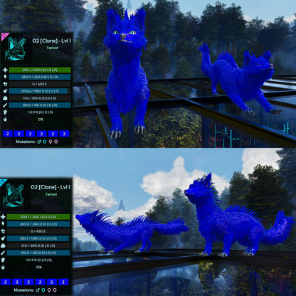 Veilwyn Lvl 1 Clone Ark Asceneded
