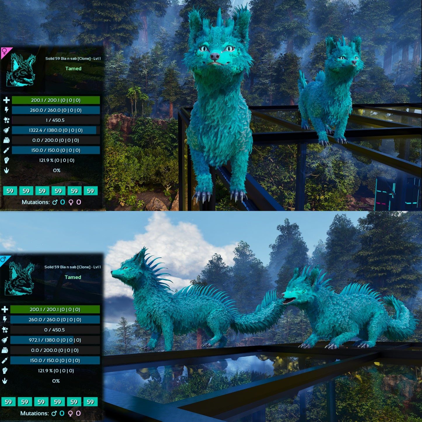 Veilwyn Lvl 1 Clone Ark Asceneded