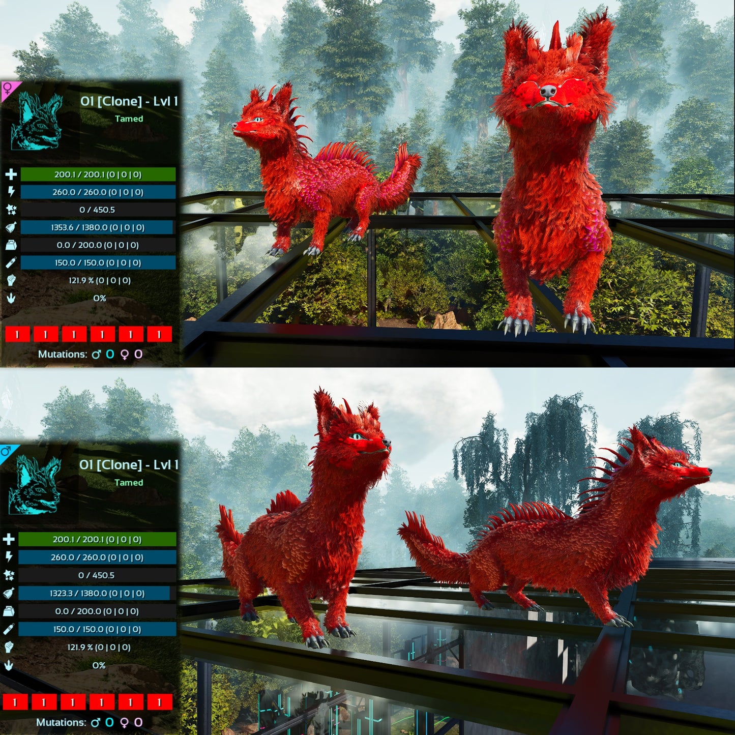 Veilwyn Lvl 1 Clone Ark Asceneded