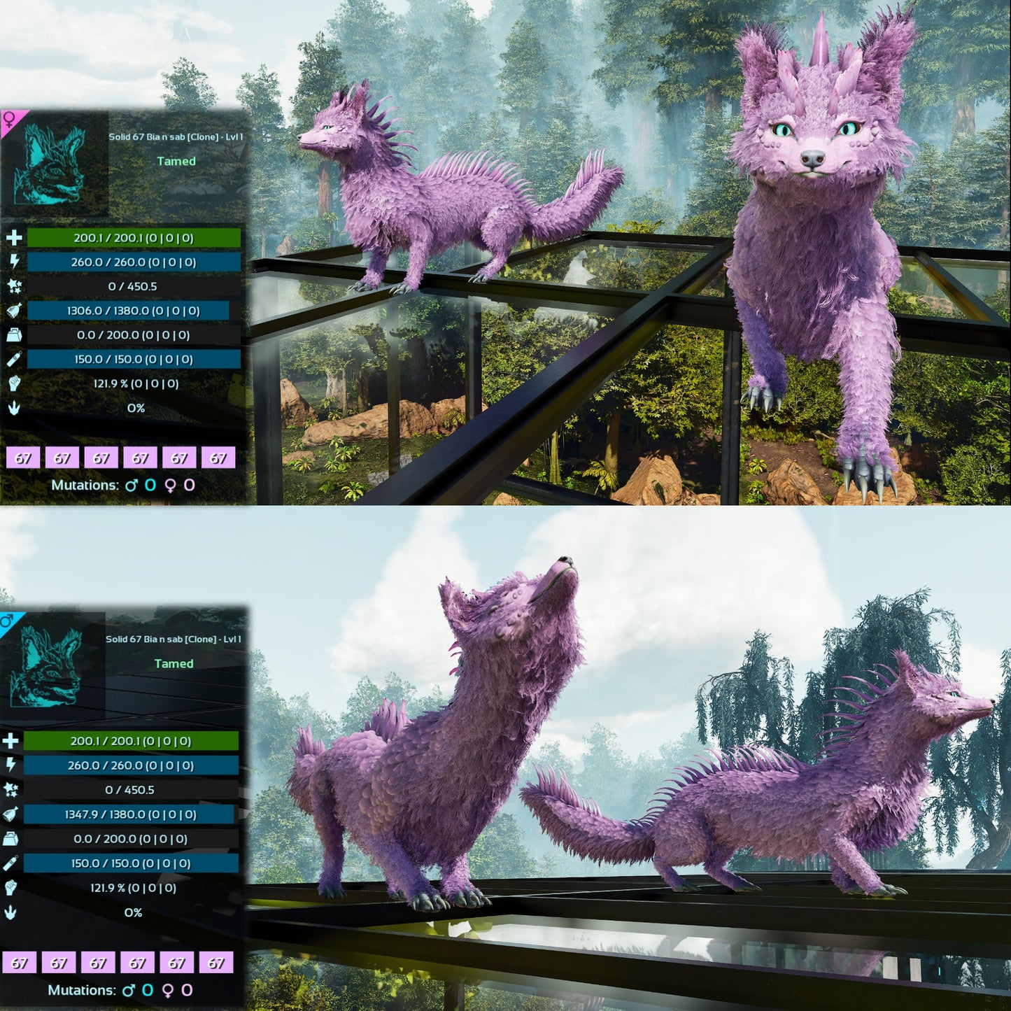 Veilwyn Lvl 1 Clone Ark Asceneded
