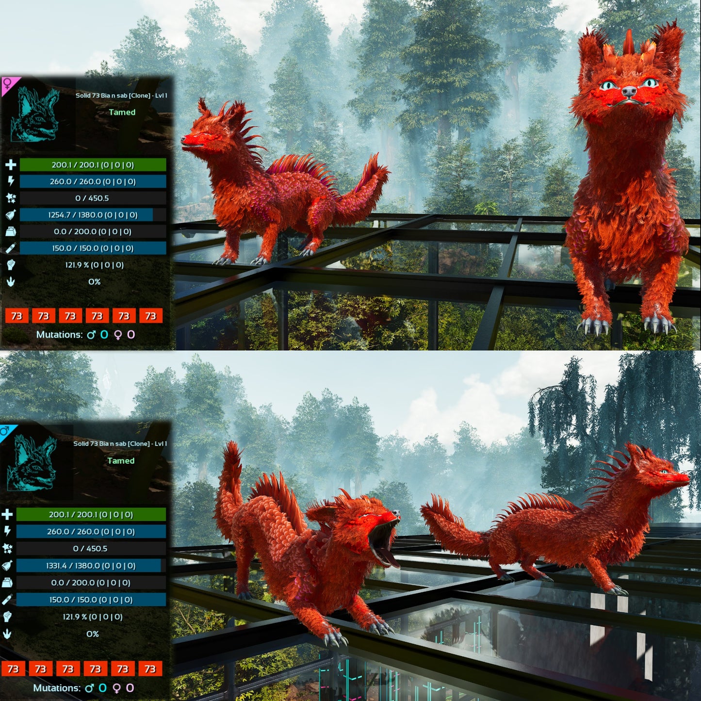 Veilwyn Lvl 1 Clone Ark Asceneded
