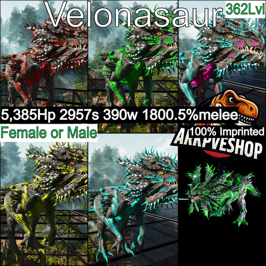 Velonasaur 1800%melee Imprinted