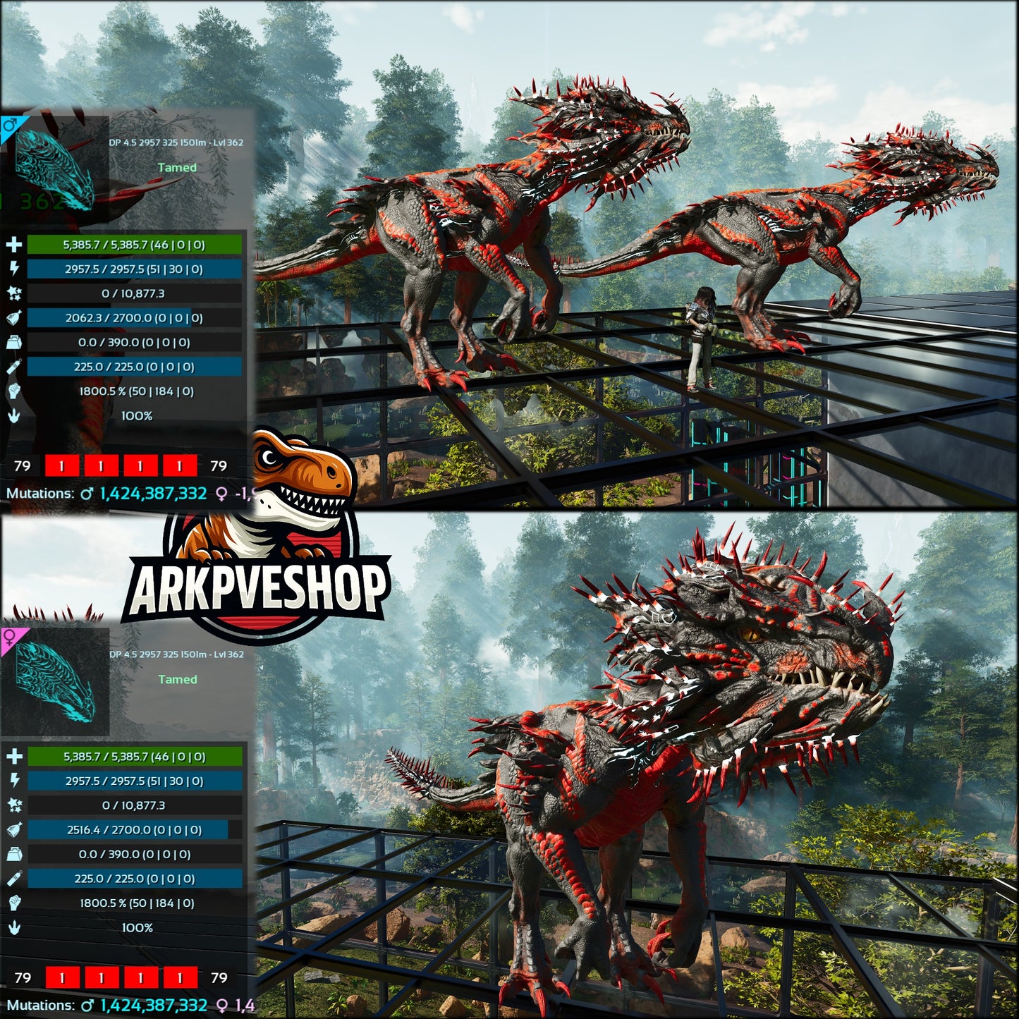 Velonasaur 1800%melee Imprinted