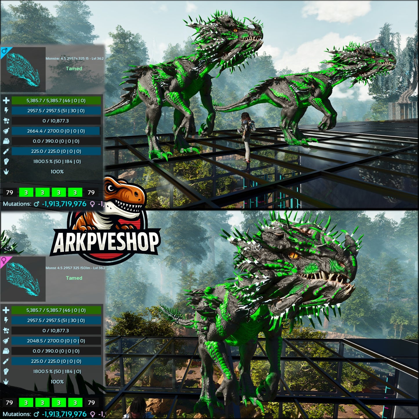 Velonasaur 1800%melee Imprinted