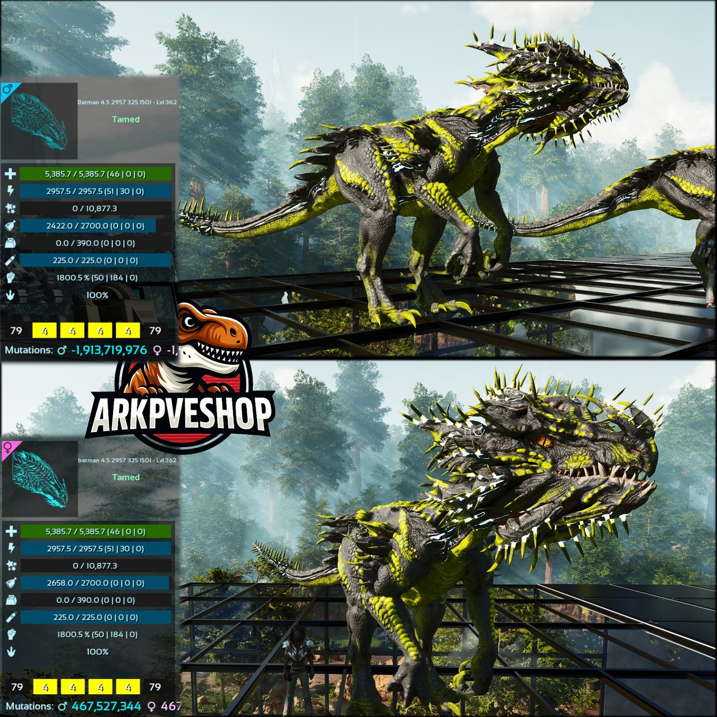 Velonasaur 1800%melee Imprinted