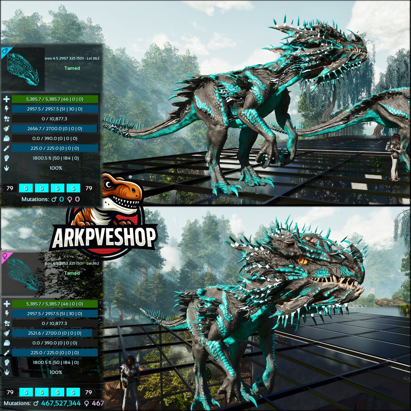 Velonasaur 1800%melee Imprinted