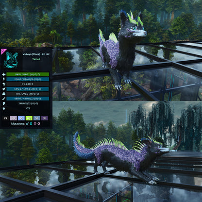 🏷️ Veilwyn Low&High Lvls Clone 🏷️