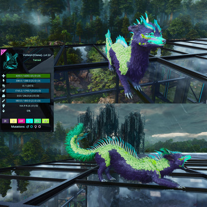 🏷️ Veilwyn Low&High Lvls Clone 🏷️