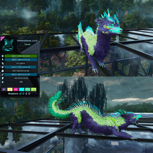 Veilwyn Low&High Lvls Clone