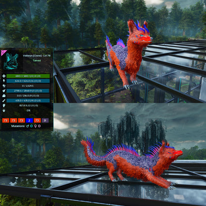 🏷️ Veilwyn Low&High Lvls Clone 🏷️