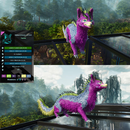 🏷️ Veilwyn Low&High Lvls Clone 🏷️