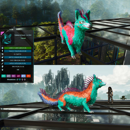 🏷️ Veilwyn Low&High Lvls Clone 🏷️