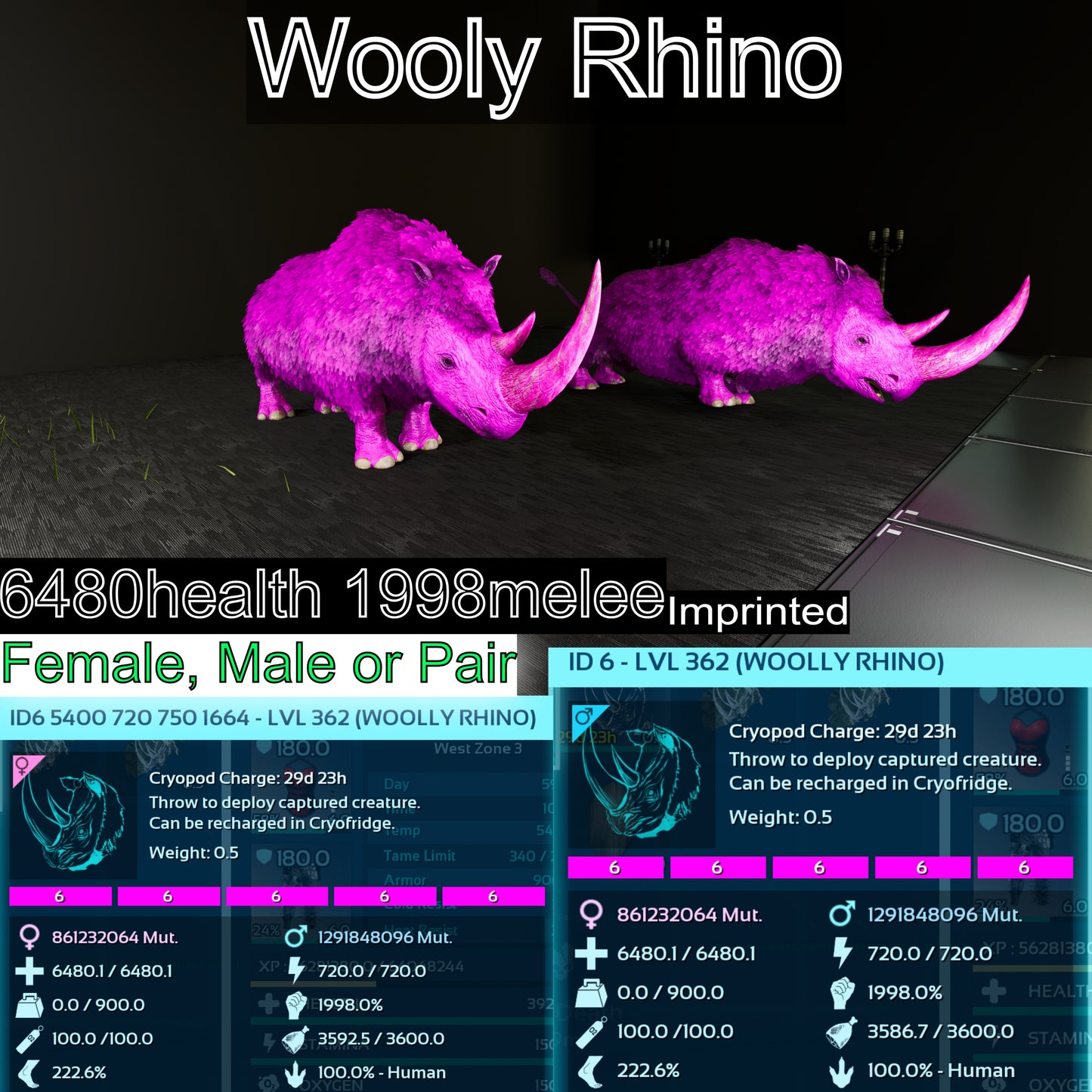 Woolly Rhino Max Level 362