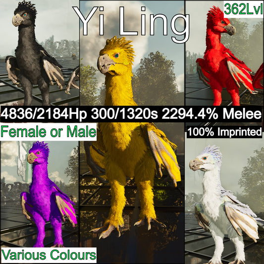 Yi Ling 2294% Melee Imptinted Solid Colours