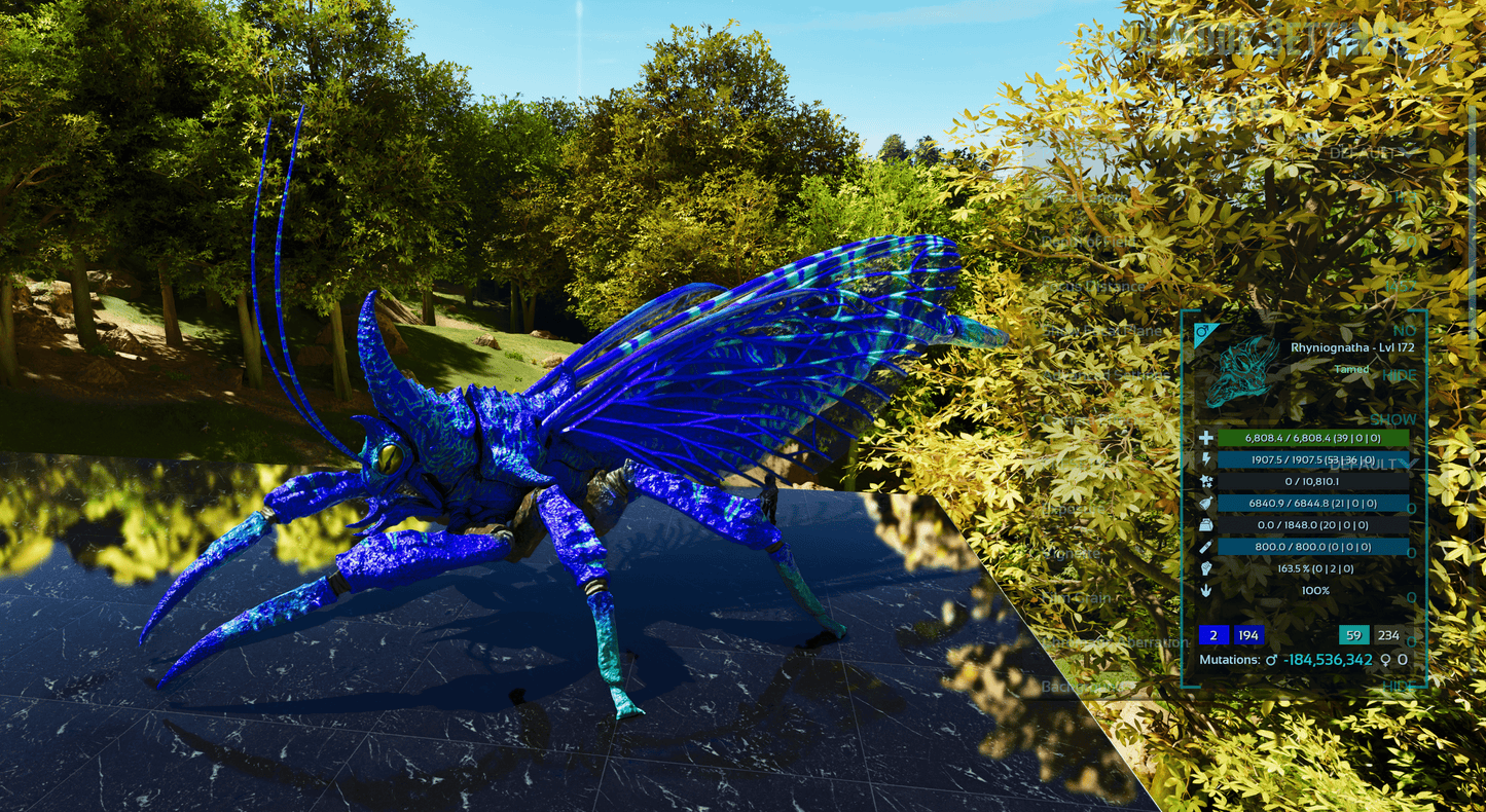 Buy Rhyniognatha / Rhynio Various Colours and Stats