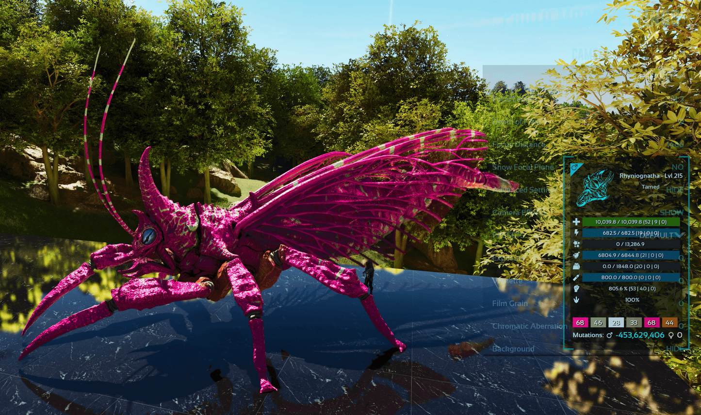 Buy Rhyniognatha / Rhynio Various Colours and Stats