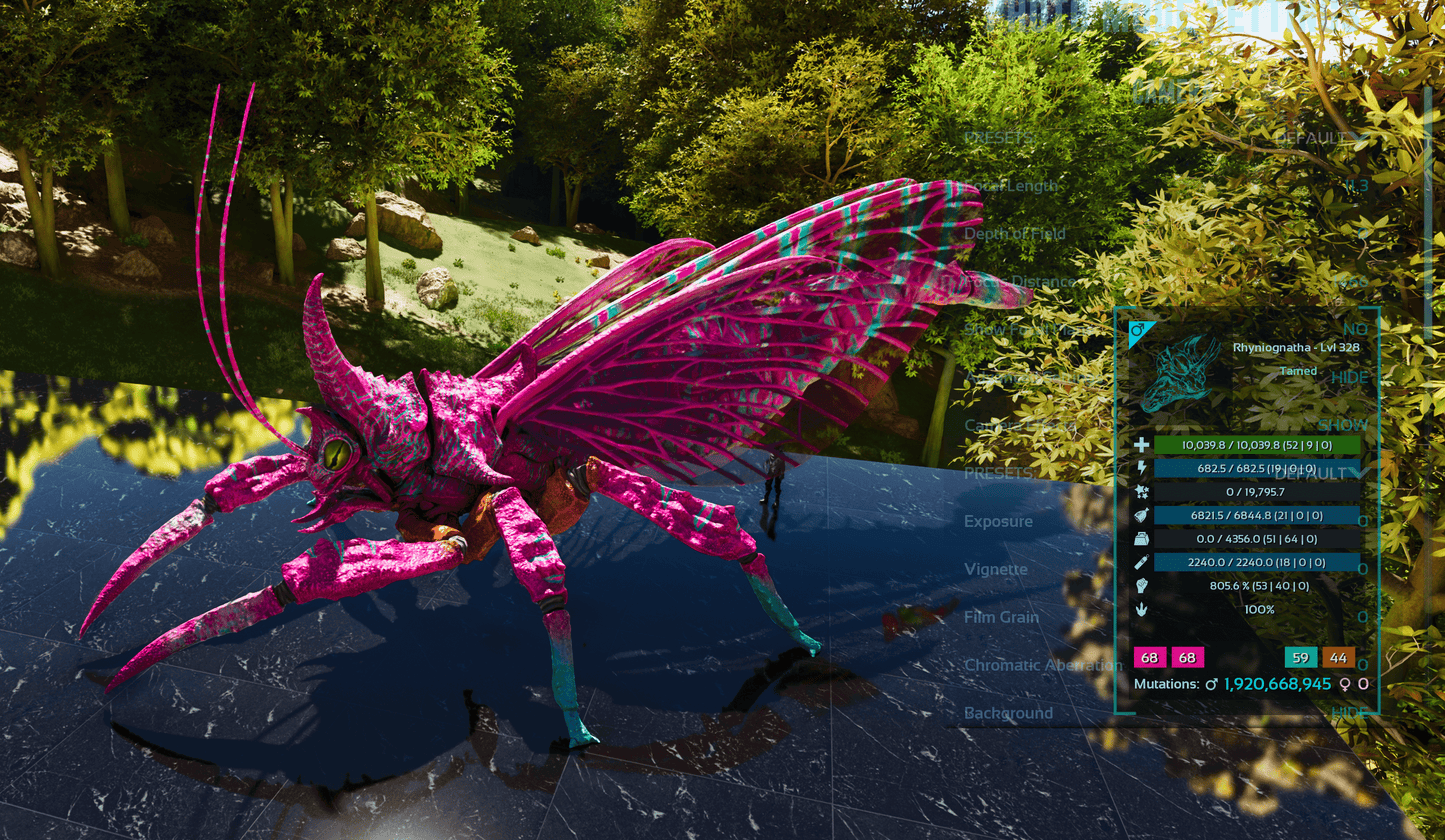 Buy Rhyniognatha / Rhynio Various Colours and Stats