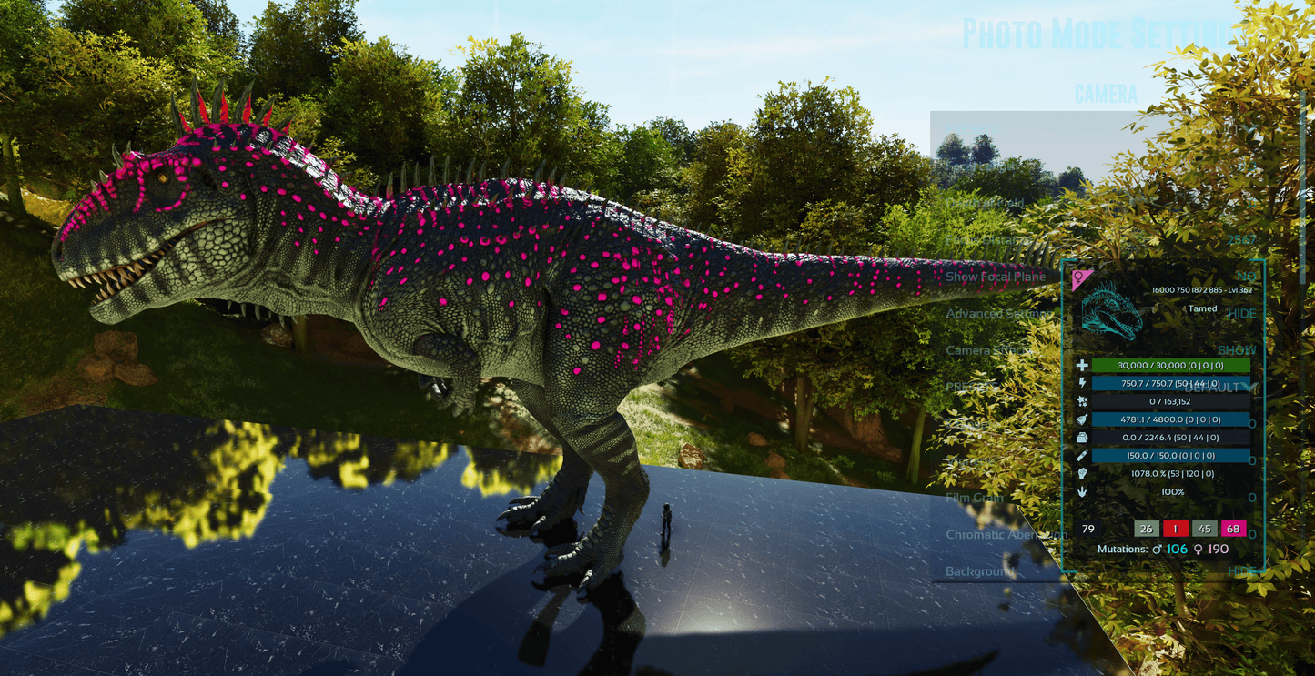 Carcharodontosaurus / Carcharo 1078dmg imprint