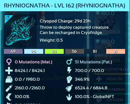 Rhyniognatha / Rhynio + Saddle