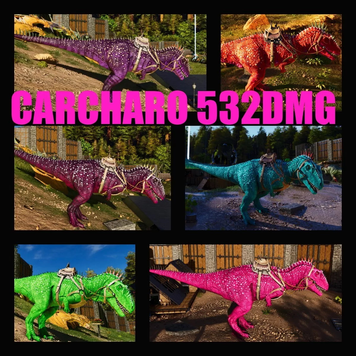 Carcharodontosaurus / Carcharo 532M imprint